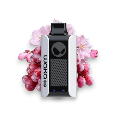 WAKA SOPRO 10000 PUFFS 5%