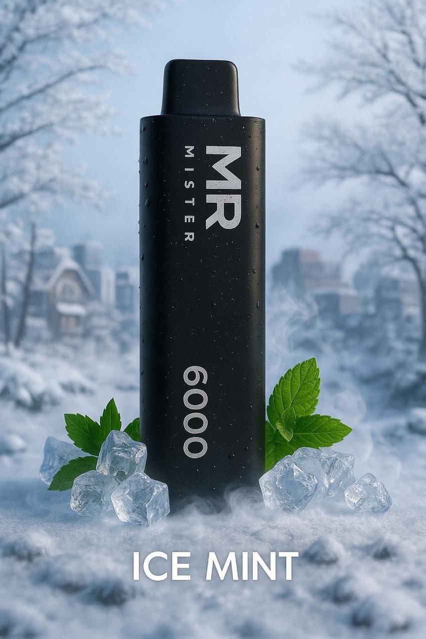 MR MISTER 6000 PUFFS 2%