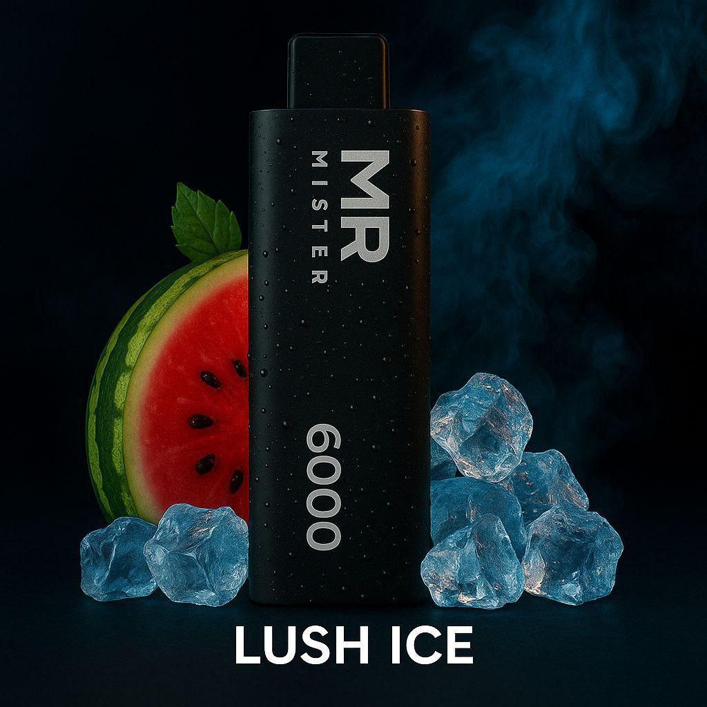 MR MISTER 6000 PUFFS 2%